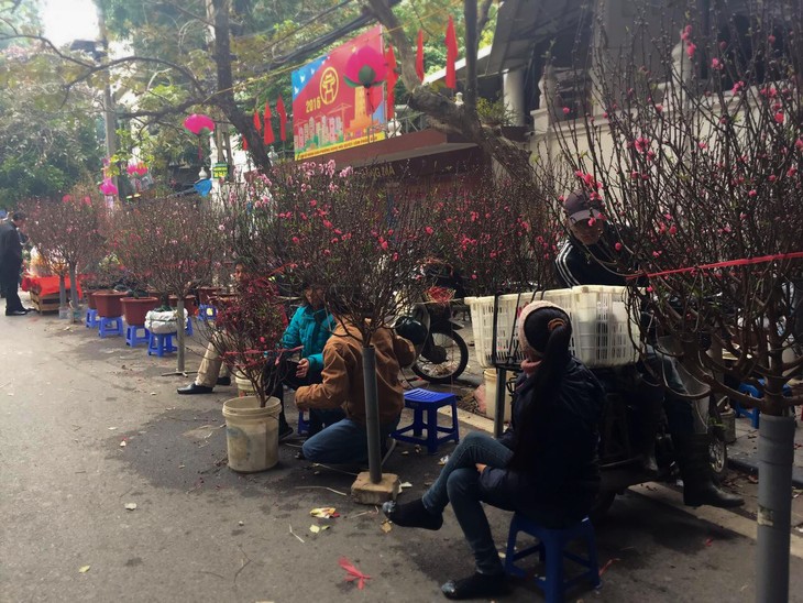 Hang Luoc Flower Market in Hanoi's Old Quarter - ảnh 1